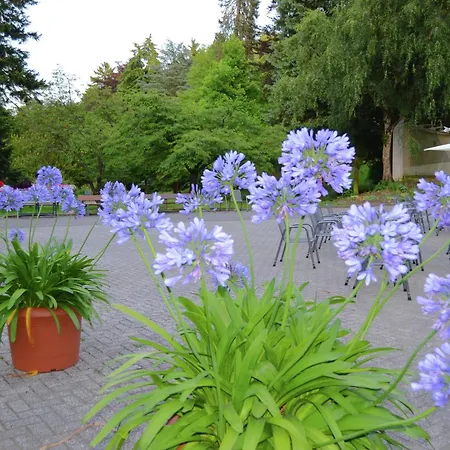 With Private Terrace In H Ddingen