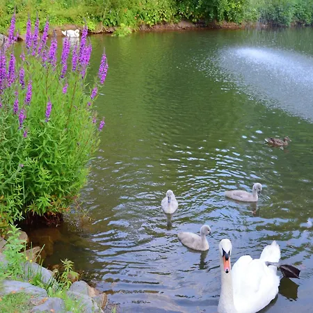Mit Eigener Terrasse In Hueddingen شقة