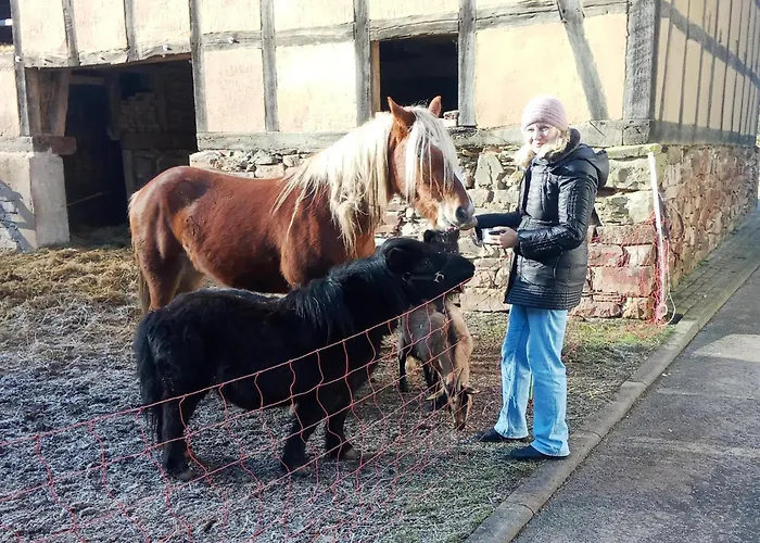 Mit Eigener Terrasse In Hueddingen Διαμέρισμα Bad Wildungen